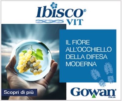 ibisco-vit-catalogo-fonte-gowan-italia-redazionale-gennaio-2026-400x331.jpg