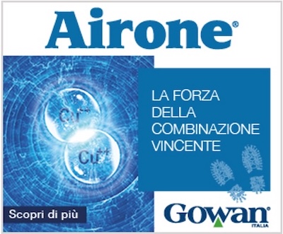 linea-airone-fonte-gowan-italia-redazionale-gennaio-2026-400x331.jpg