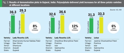 risultati-prove-india-polysulphate-fertilizzante-concime-patata-redazionale-marzo-2022-fonte-icl1.jpg