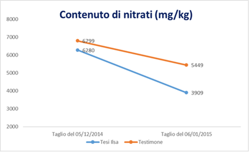 analisi-contenuto-nitrati-fonte-ilsa.png