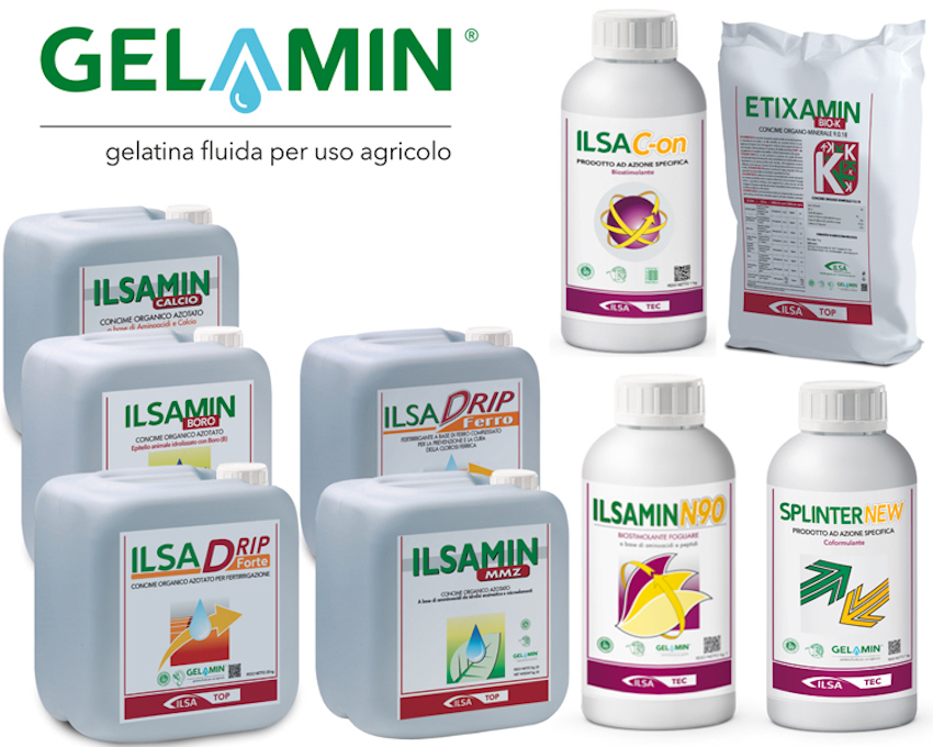 gelamin-ilsac-on-splinter-new-ilsamin-n90-etixamin-bio-k-ilsamin-calcio-ilsamin-boro-ilsadrip-forte-ilsadrip-ferro-ilsamin-mmz-fonte-ilsa.jpg