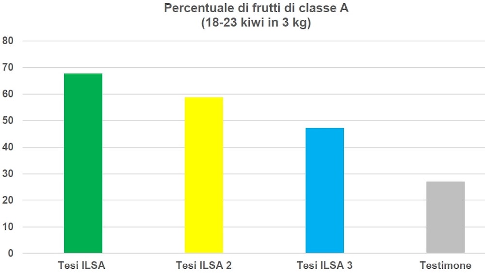 grafico-1-percentuale-frutti-kiwi-fonte-ilsa.jpg