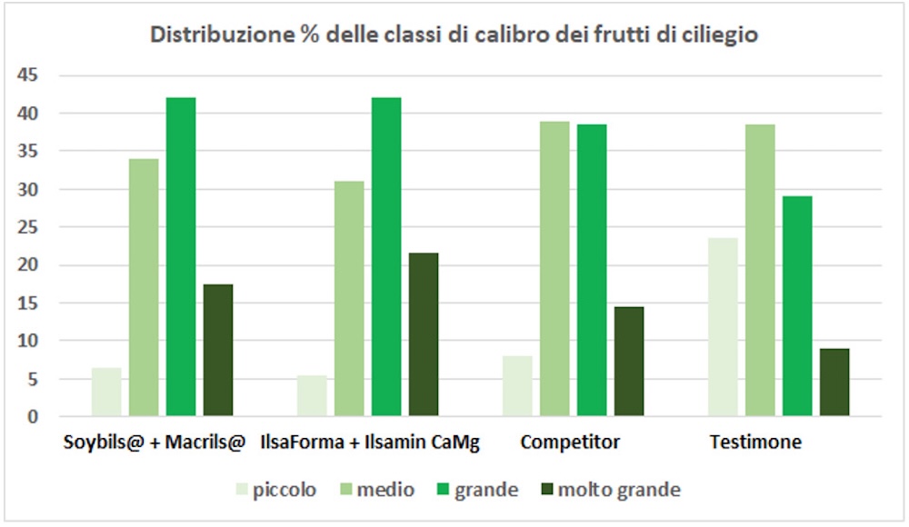 6-calibro-ciliegio-fonte-ilsa-1000x580.jpg