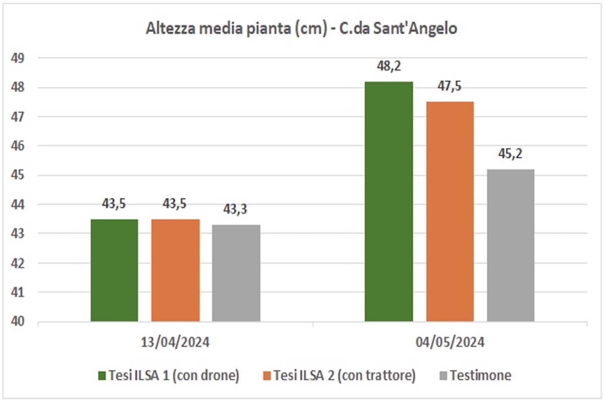 grafico-altezza-media-pianta-fonte-ilsa-redazionale-febbraio2025-1200x800.jpg