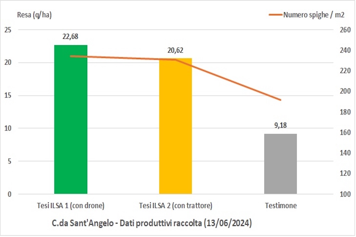 grafico-resa-ilsamin-santangelo-fonte-ilsa-redazionale-febbraio2025-1200x800.jpg