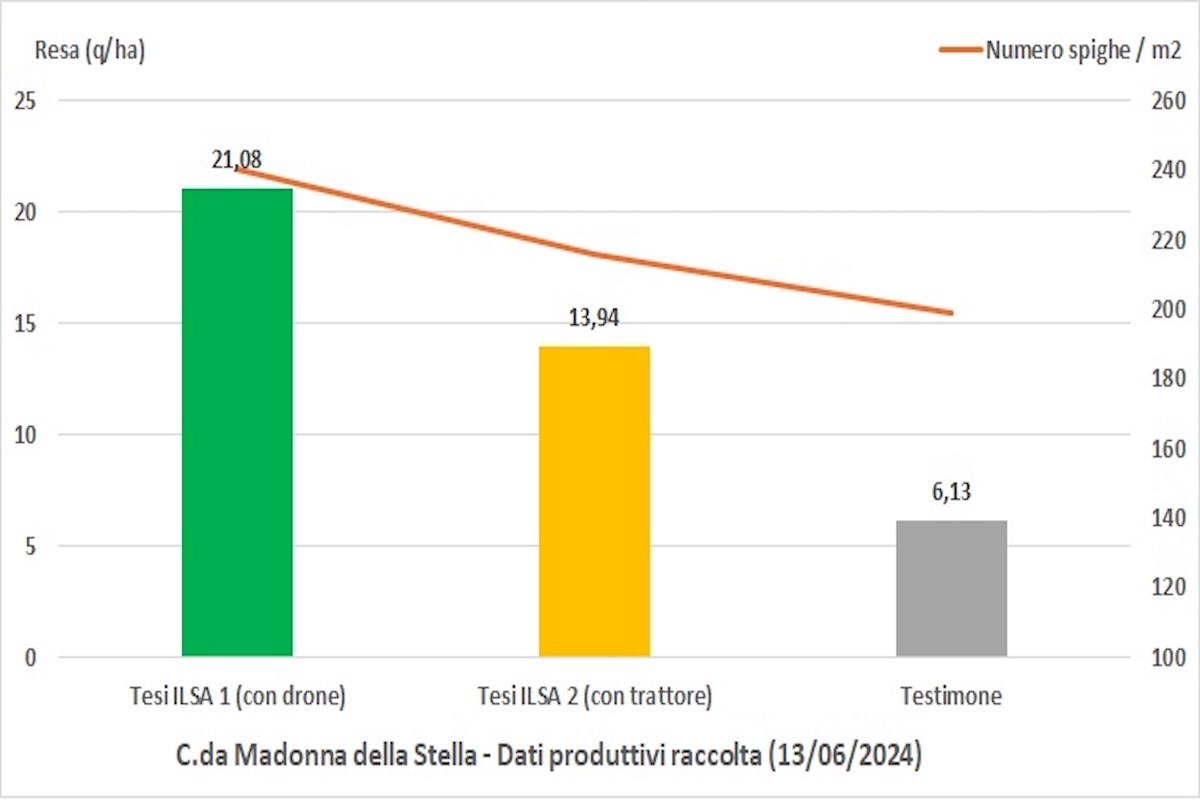 grafico-resa-madonna-stella-ilsamin-fonte-ilsa-redazionale-febbraio2025-1200x800.jpg