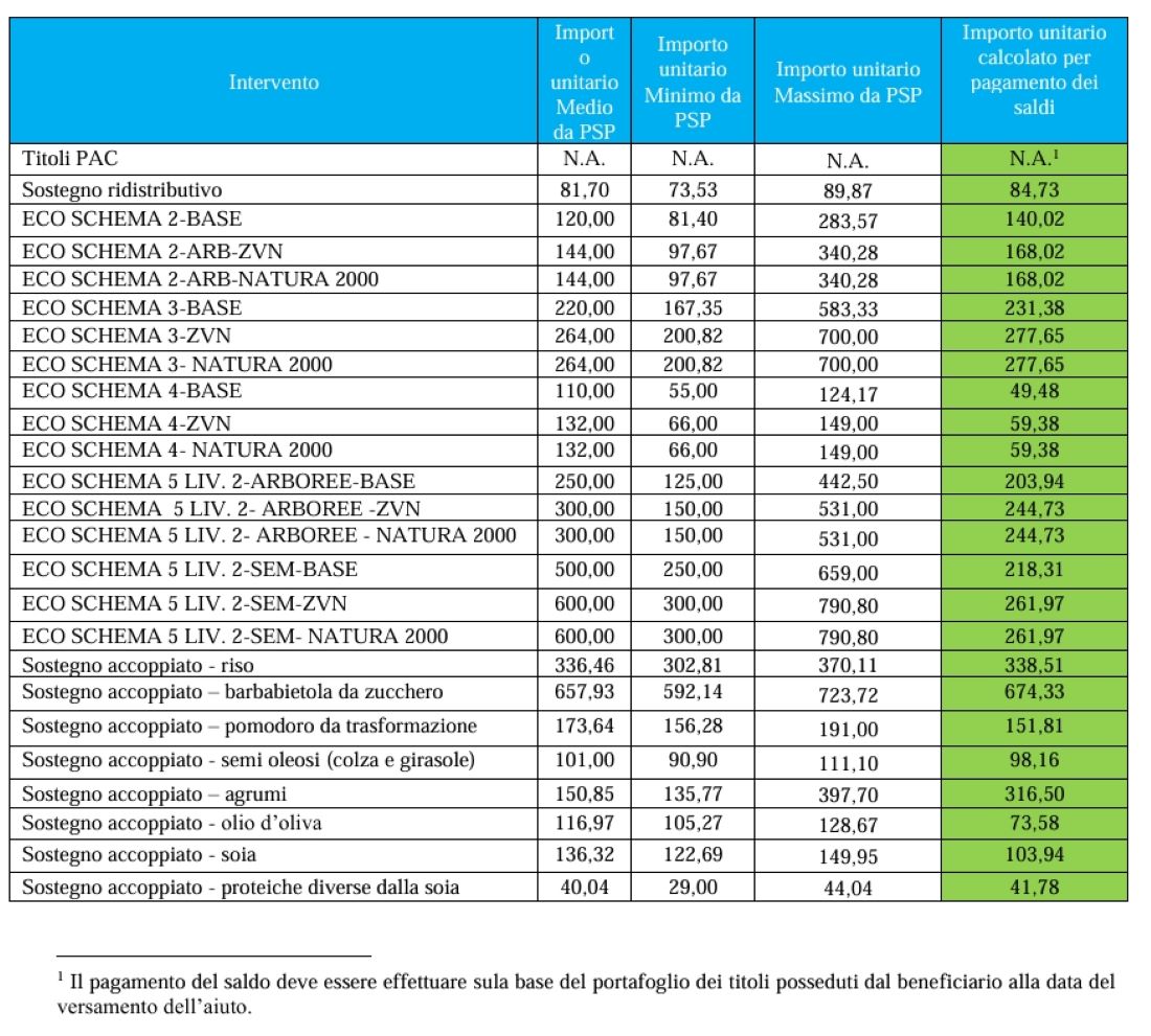 Importi unitari per i pagamenti dei saldi sul Primo Pilastro Pac domanda unificata 2024