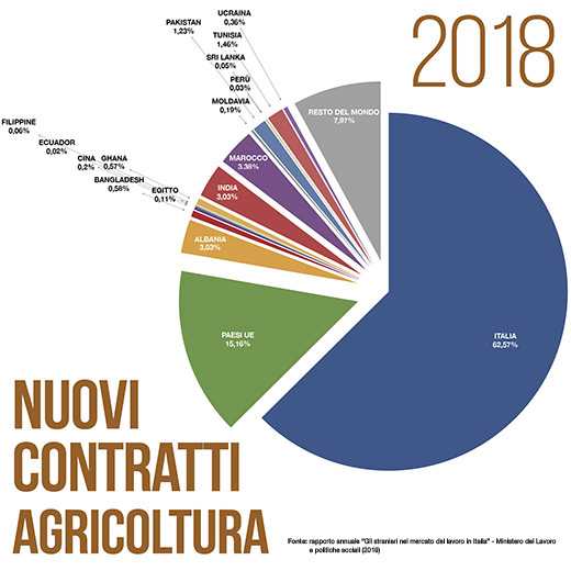 Grafico: Nuovi contratti in agricoltura
