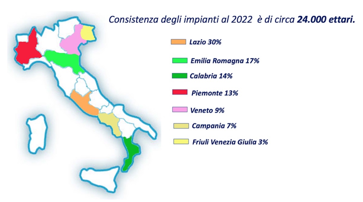 Mappa della consistenza degli impianti di kiwi in Italia 2022