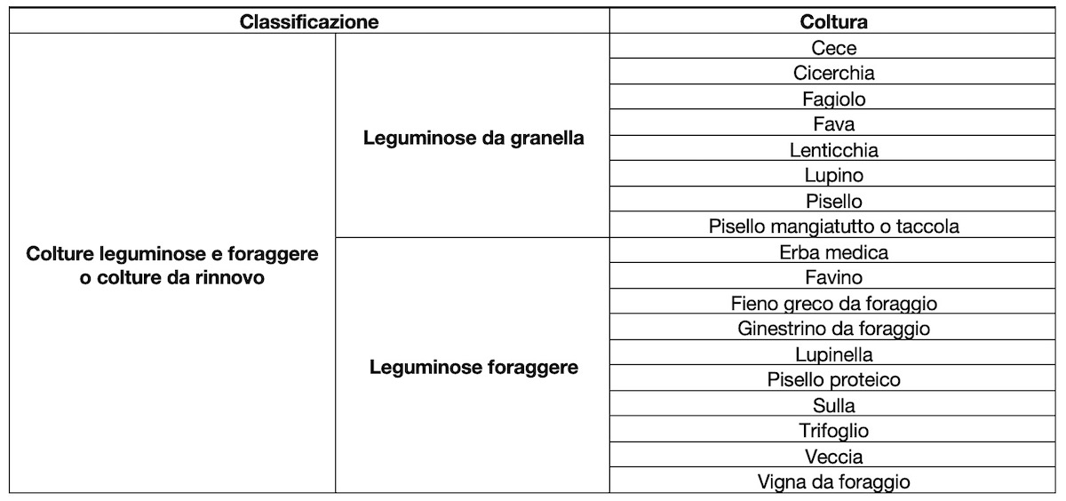 pac-ecoschema-4-classificazione-colture-leguminose-granella-leguminose-foraggere-apr23.jpg