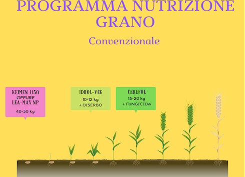 programma-convenzionale-grano-fonte-lea.png