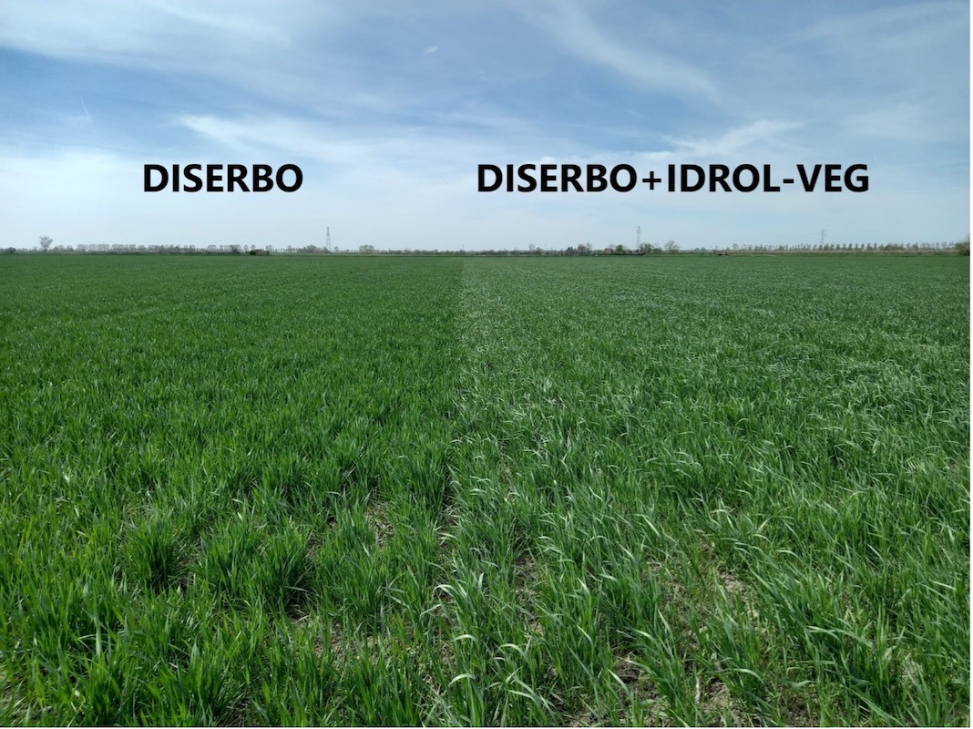 diserbo-idrol-veg-fonte-lea.jpg
