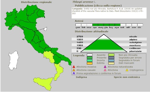 Distribuzione dell'erba storna in Italia
