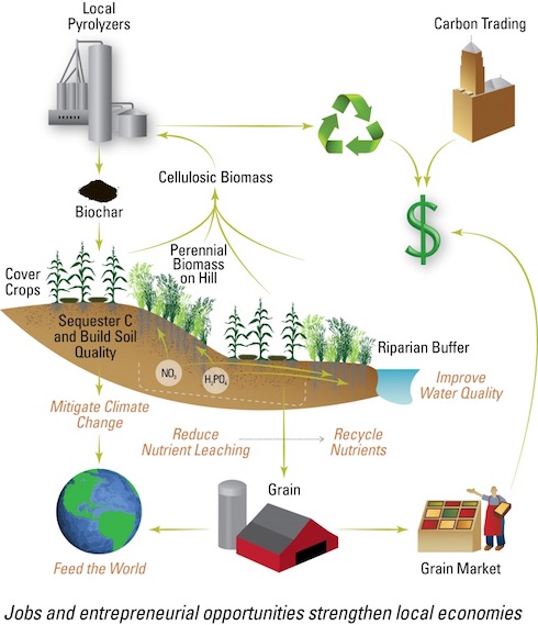 La filiera pirolisi-bioenergia-biochar per l'energia decarbonizzata