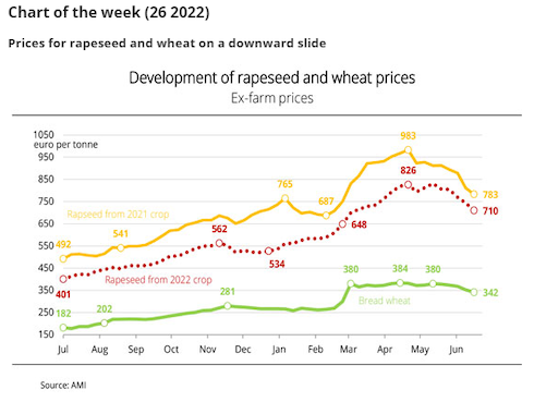 Grafico: Andamento dei prezzi al produttore della colza (raccolti nel 2021 e nel 2022) e del frumento tenero, in Germania