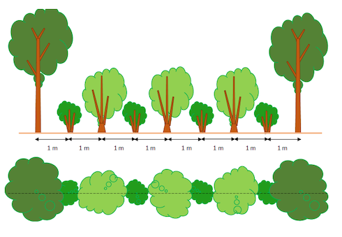 Soluzione che include alberi ad alto fusto, ceppaie (o capitozze basse) e arbusti