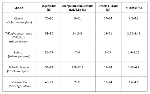 Tabella 1: Comparazione delle proprietà nutrizionali della cicoria con altre foraggere