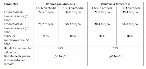 Tabella: Comparazione fra le produttività di R. pseudoacacia e P. tomentosa