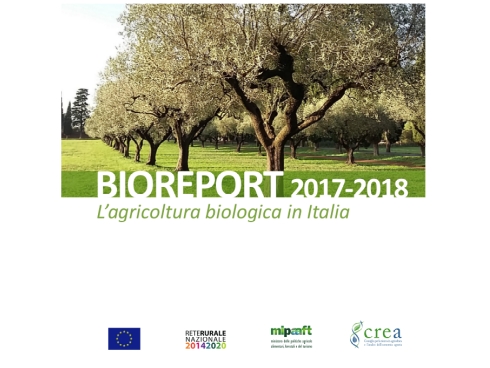 La copertina del Bioreport 2017-2018