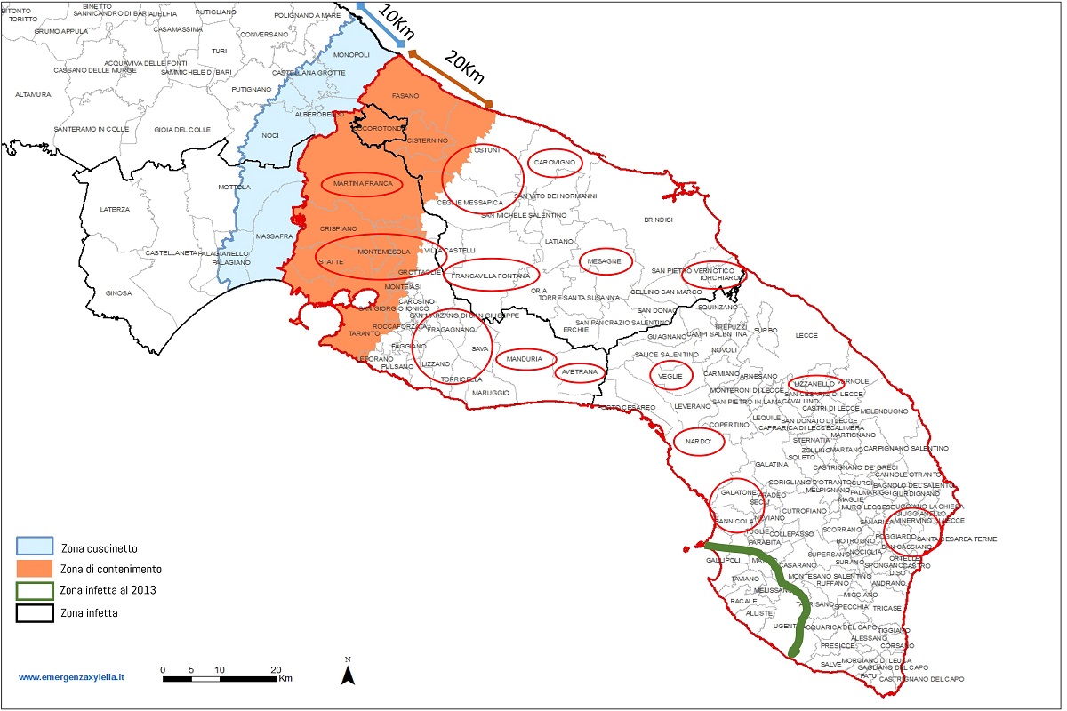 Nella cartina i comuni pugliesi dove viene applicato il Protocollo Scortichini (cerchi in rosso). I dati si riferiscono alla precedente demarcazione delle aree soggette al monitoraggio