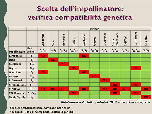 Impollinatori piante nocciolo, tabella prodotta da Università di Torino