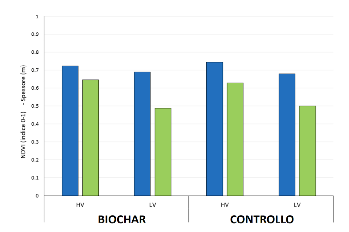 Nel grafico: indice vegetazionale della chioma (blu) e indice geometrico dello spessore della chioma (verde) nelle parcelle trattate con e senza biochar