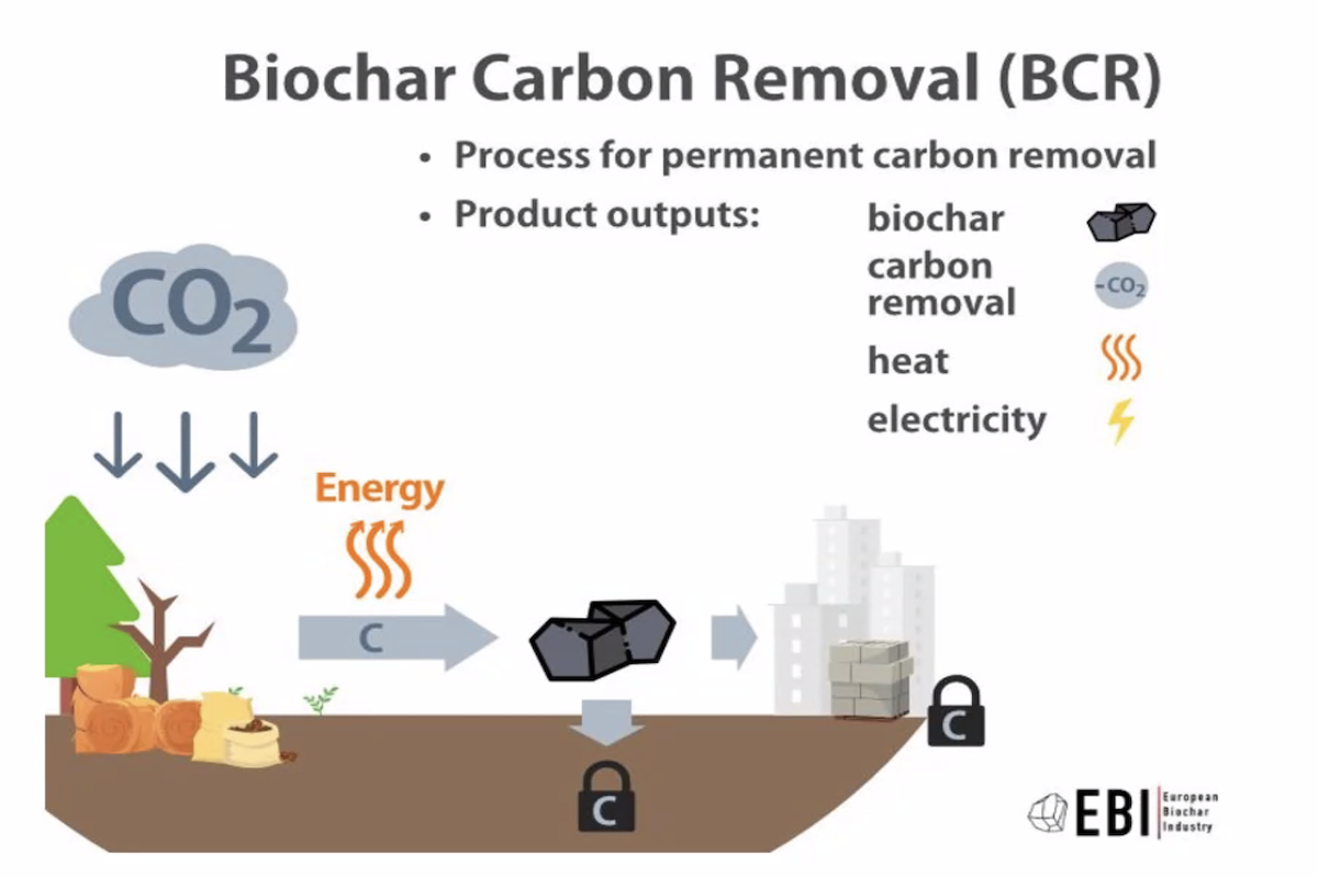 Il biochar consente di sottrarre e immagazzinare l'anidride carbonica nel suolo per lunghi periodi di tempo