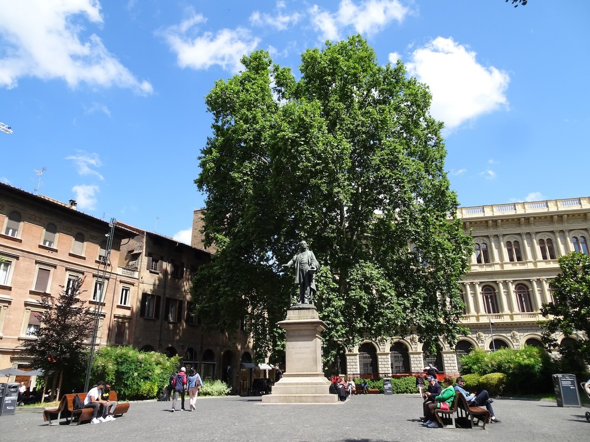 Il platano di piazza Minghetti a Bologna
