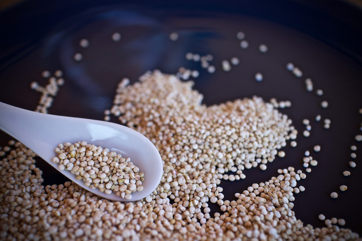 La quinoa è uno pseudocereale molto usato oggi nelle diete
