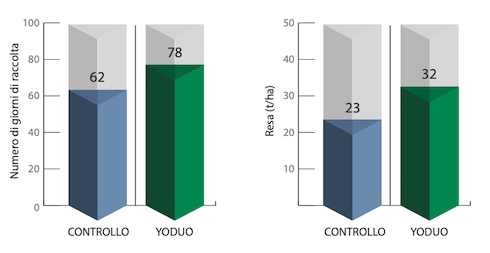 Fioritura Al Sicuro E Protezione Dagli Stress Abiotici Con Yoduo 