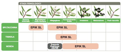 Posizionamento di Epik SL di Sipcam Italia sui tre principali parassiti dell'olivo