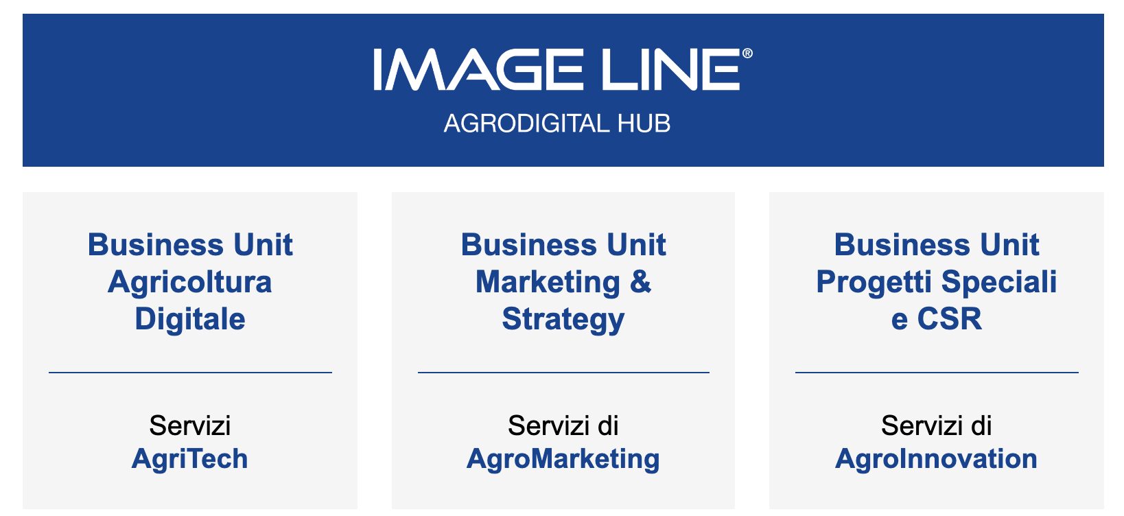 image-line-business-unit-2024.png