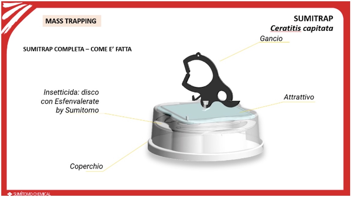 sumitrap-come-fatta-difesa-trappole-fonte-sumitomo-redazionale-dicembre24-1200x670.jpg