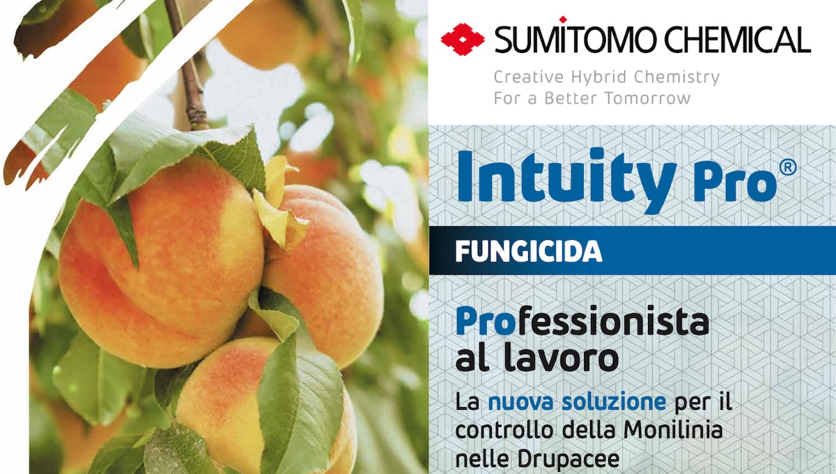 Intuity Pro®