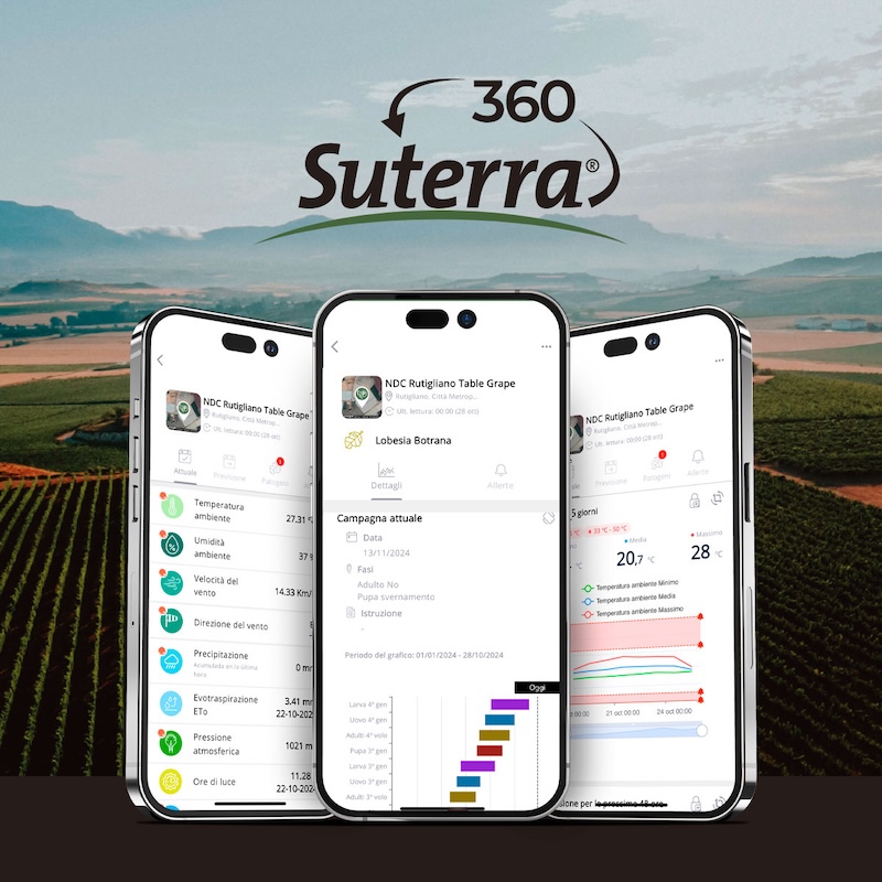 suterra-360-soluzione-digitale-gestione-colture-novembre-2025-fonte-suterra-800x800.jpg