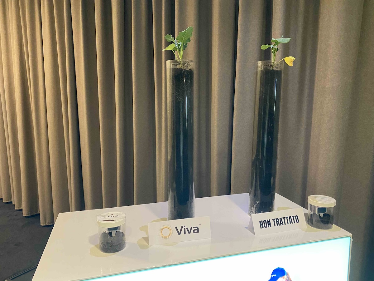 Viva&reg; migliora la crescita radicale