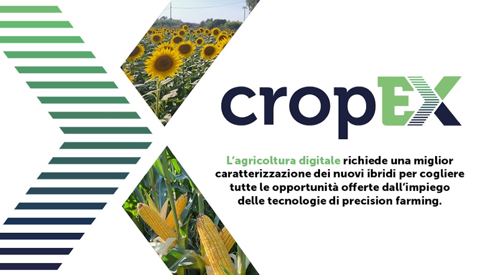 cropex-agricoltura-digitale-fonte-syngenta-seeds-1000x562.jpg
