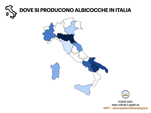 Albicocca-Albicocco-Frutticola-infografica-denominazione-produzioni-TellyFood-QDC-ByAgroNotizie-490x368.jpeg