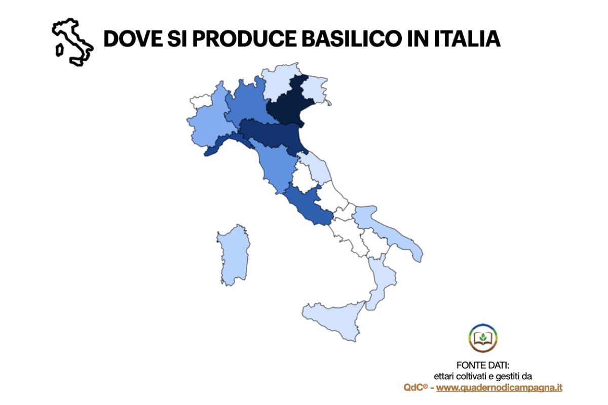 Dove si produce basilico in Italia - Elaborazione statistica basata su dati di QdC® - Quaderno di Campagna®, che gestisce in Italia circa 299 ettari di basilico