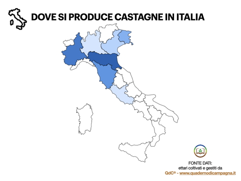 Castagna-infografica-denominazione-produzioni-Italia-490x368.jpeg