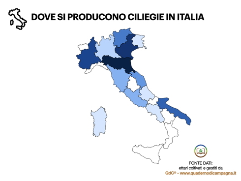 Ciliegie prodotte in Italia da QdC Quaderno di Campagna