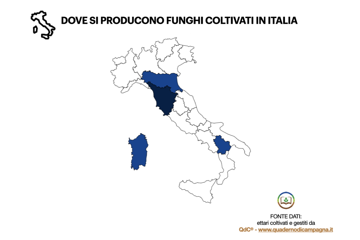Dovesi producono funghi in Italia - Elaborazione statistica basata su dati di QdC® - Quaderno di Campagna®, che gestisce in Italia circa 11 ettari di funghi coltivati