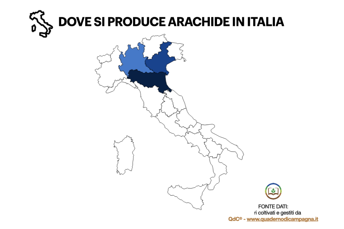 Elaborazione statistica basata su dati di QdC® - Quaderno di Campagna®, che gestisce in Italia circa 17 ettari di arachide