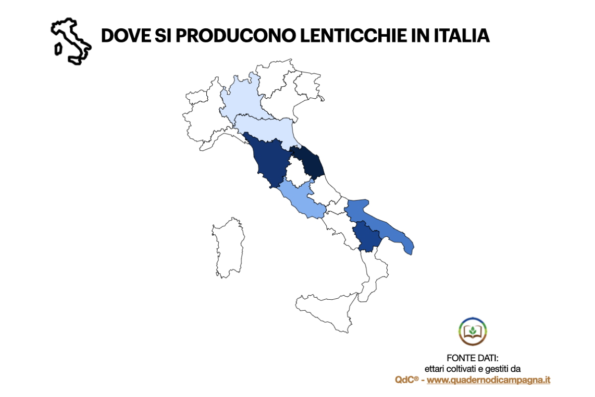 Dove si producono lenticchie in Italia - Elaborazione statistica basata su dati di QdC® - Quaderno di Campagna®, che gestisce in Italia 209 ettari di lenticchie