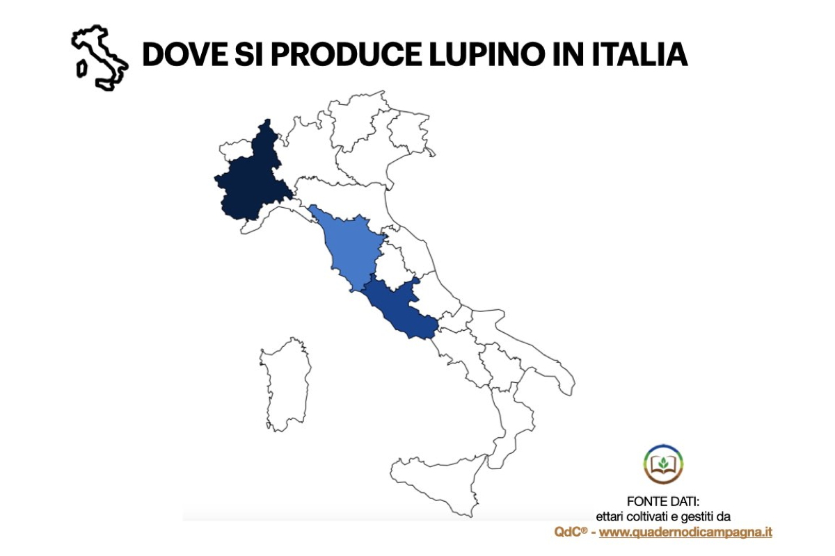 Dove si produce lupino in Italia - Elaborazione statistica basata su dati di QdC® - Quaderno di Campagna®, che gestisce in Italia circa 103 ettari di lupino