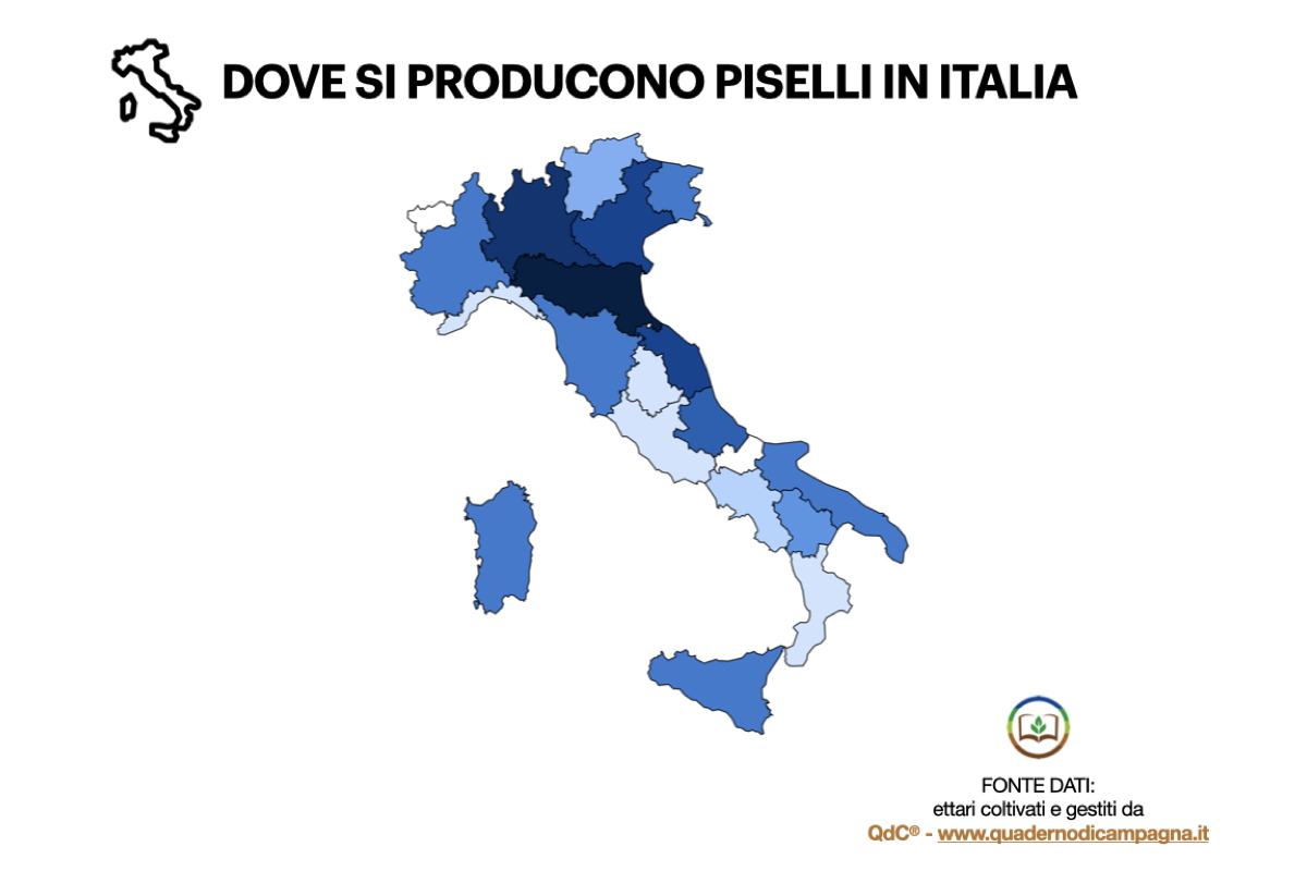 Dove si producono piselli in Italia - Elaborazione statistica basata su dati di QdC® - Quaderno di Campagna®, che gestisce in Italia circa 5213 ettari di piselli