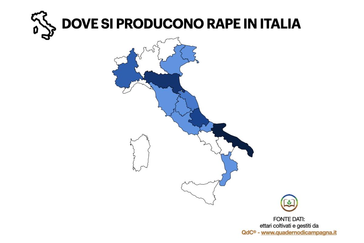 Dove si producono rape in Italia - Elaborazione statistica basata su dati di QdC® - Quaderno di Campagna®, che gestisce in Italia circa 90 ettari di rape