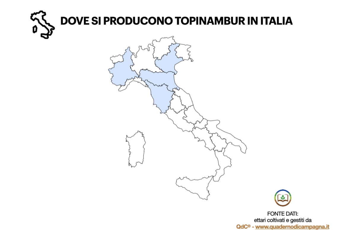 Dove si producono topinambur in Italia Elaborazione statistica basata su dati di QdC® - Quaderno di Campagna®