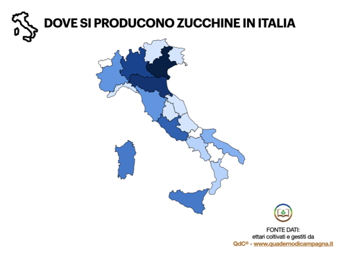 Zucchine-Zucchino-Orticola-infografica-denominazione-produzioni-TellyFood-QDC-ByAgroNotizie-490x368.jpeg