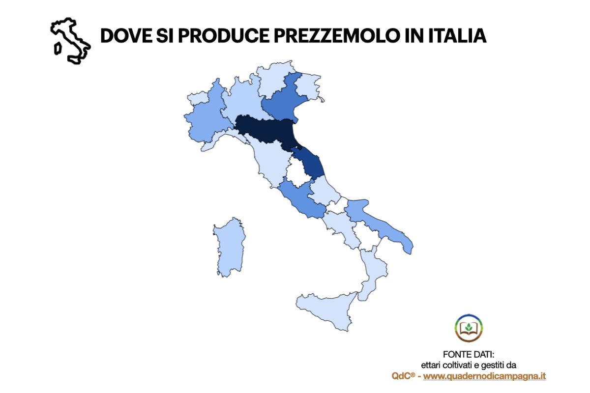 Dove si produce prezzemolo in Italia - Elaborazione statistica basata su dati di QdC® - Quaderno di Campagna®, che gestisce in Italia circa 172 ettari di prezzemolo